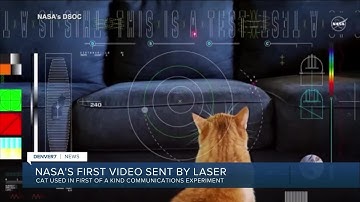 Orange tabby cat named Taters steals the show in first video sent by laser from deep space