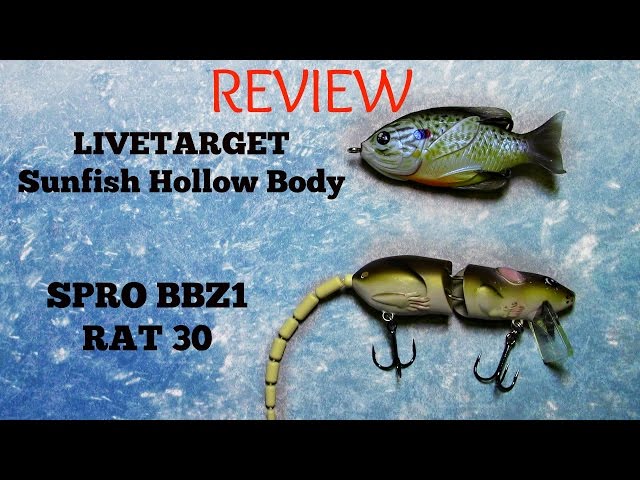 best st croix jerkbait rod St. Croix Legend Elite Musky Casting Rod