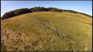 Hoverthings Flip FPV Marsh 1