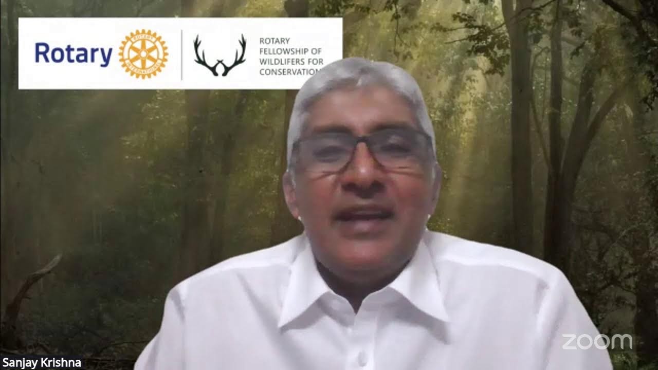 From Seed to Forest: The Story of Our Eco Club