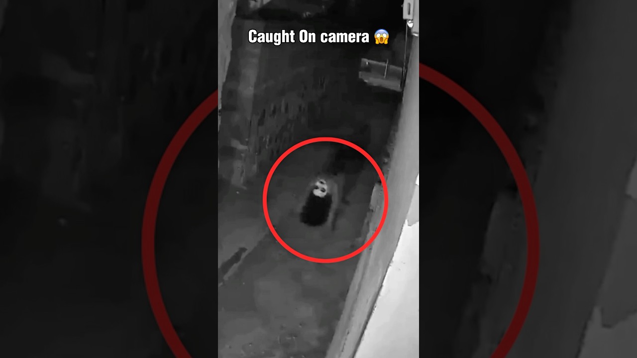 NIGHTMARE CAPTURED ON CAMERA: Unidentified Figure in Dark Alley