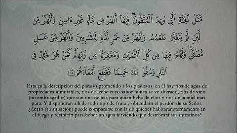 ماهر المعيقلي ( سورة محمد ) بجودة عالية إصدار جديد.