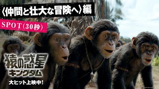 〈仲間と壮大な冒険へ〉編｜映画『猿の惑星／キングダム』 SPOT（30秒）｜大ヒット上映中！