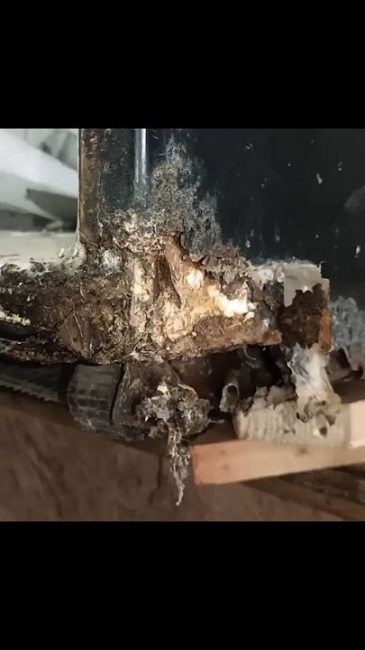 “Everyone said this fridge can’t be repaired — the