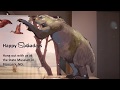 4 Tips for a Happy New Year from our Ground Sloth