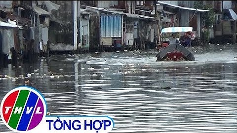 THVL | Báo động tình trạng ô nhiễm sông rạch ở Cà Mau