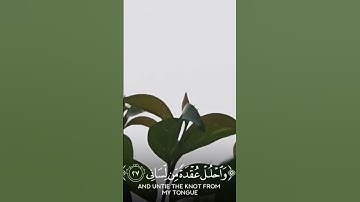 الآية 25 - 28 سورة طه #قرآن