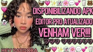 ✨Disponibilizando apk editor Pro atualizado 💗 screenshot 3