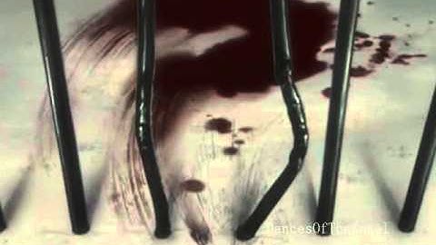 Scared Of Tomorrow [[Animash]]