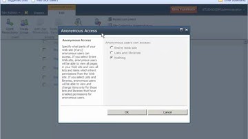 SharePoint 2010 MINUTE - Anonymous Access (2/9/2010-4)