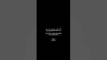 قل اللهم فاطر السماوات والأرض | كرومات قرآن كريم بصوت #ماهر_المعيقلي | #سورة_الزمر