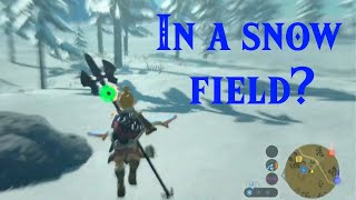 How to get into bullet time ANYWHWERE in BotW | Shield Jump Cancel Tutorial