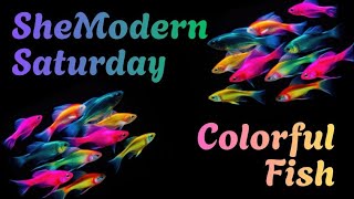 SheModern Saturday Colorful Fish @SheModern #justnailedit #fish #stamping #stampingnailart