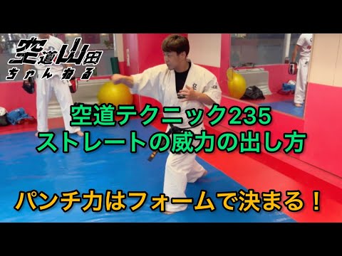 [Budo] Kudo Technique 235: How to Generate Power in Your Straight Punch [Martial Arts]