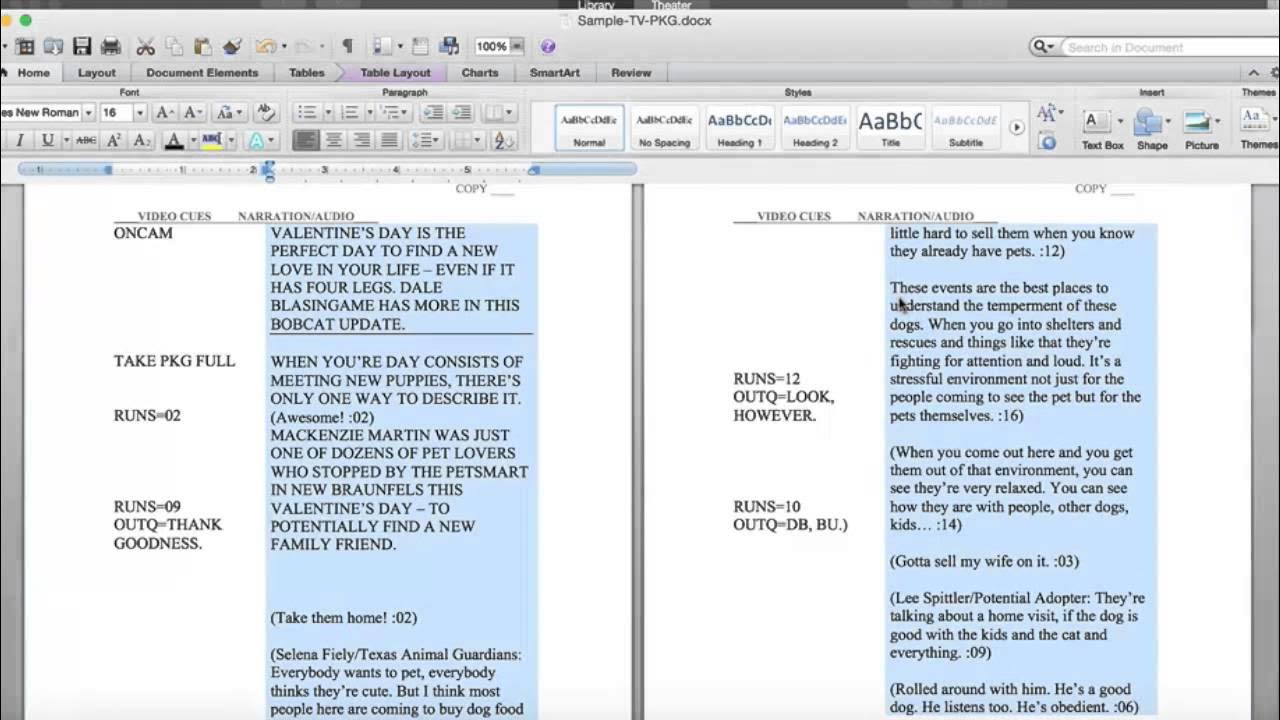 Scripts report. Movie script example. radio reporter script examples. stretch script sample.