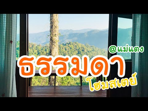 🐻 รีวิว ธรรมดา โฮมสเตย์🌳 | อำเภอแม่แตง จังหวัดเชียงใหม่ | ความเรียบง่ายที่ไม่ธรรมดาเลยจริงๆ 😍😍