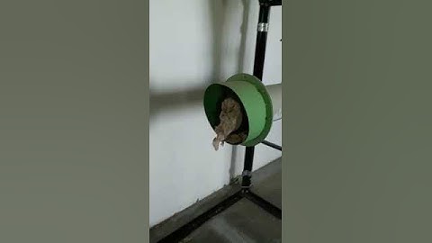 Automatic Waste Collection Primary Secondary Filter System for Ginning, Spinning, Textile Mills.