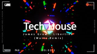 [Tech House] James Grow - Libertine (Waitz Remix)