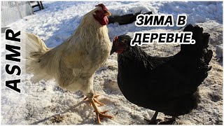 Зима в деревне. ASMR. Relax video.