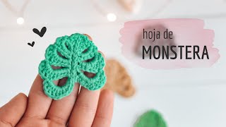 HOJA DE MONSTERA | Paso a paso en Crochet