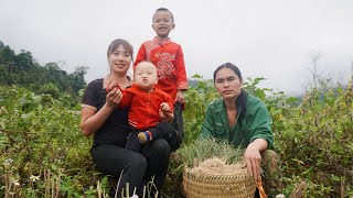 Harvest eggplants and green onions and bring them to the market to sell, farm life