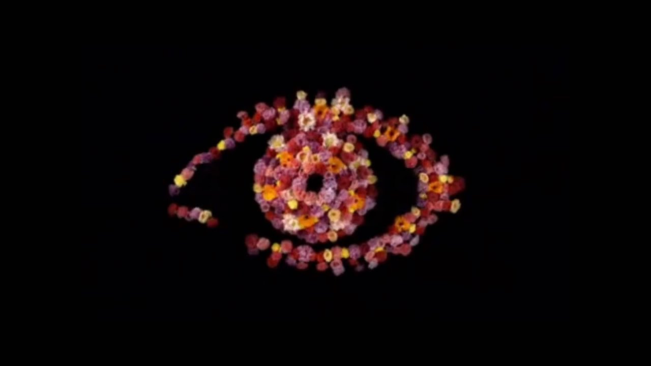 BB11 | 4 Days to go...