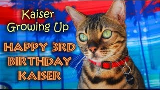 Kaiser Growing Up - Happy Birthday, Kaiser! by NanaBorderCollie 35,945 views 11 years ago 3 minutes, 28 seconds