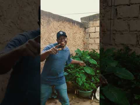 Viralvideo Music Dance