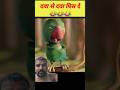 Delhi Safari 😄#funny😍 #comedy 🫶 #best #new #sonurajbhar #sonurajbhartrendingshorts