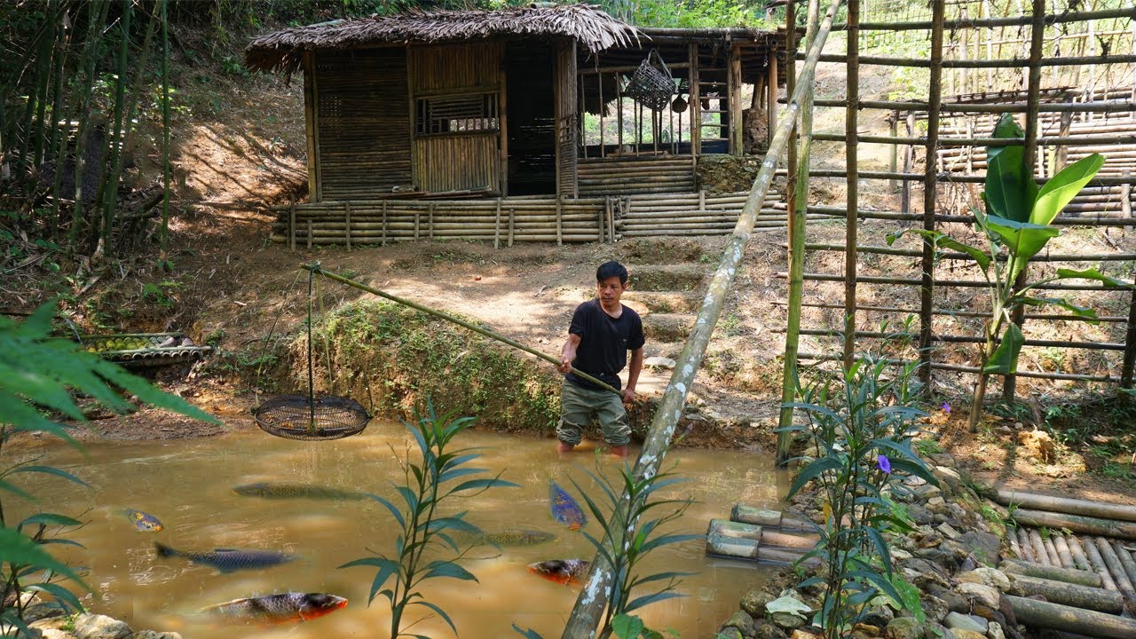 Time Lapse: 2 years living off the grid, building a farm alone in the deep forest