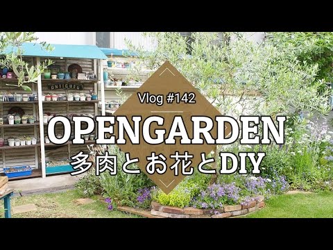 【Vlog142】【多肉植物】ようこそオープンガーデン！多肉とお花とDIY💚すべて見せますスペシャル【イングリッシュガーデン】【DIY】