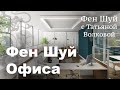 ФЕН ШУЙ ОФИСА | Анализ Офиса От Мастера Фен Шуй