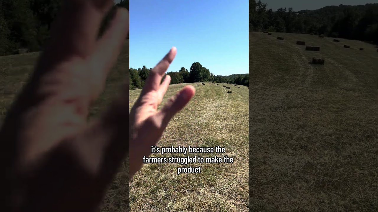 Hay Day: The harsh reality of a drought on farmers… 