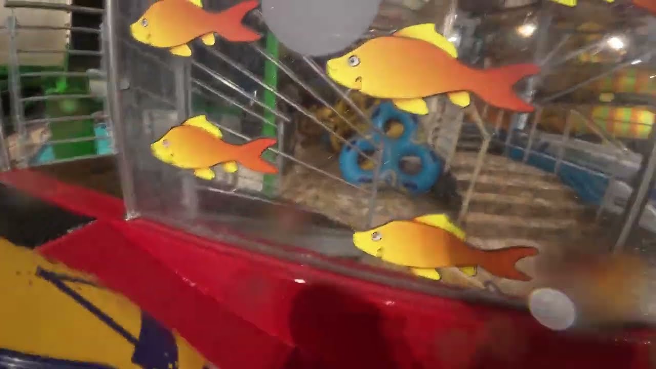 Aquapalace Praha 3, Aqua show, Aquapark,   Pro Celou Rodinu, Pro Rodiny S Dětmi, Praha 2024/ 2025,..