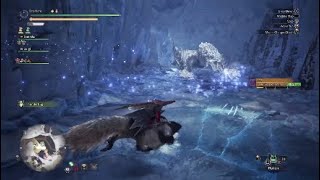 Monster Hunter World. My Fastest Time Solo.