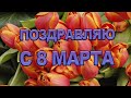 Видео Поздравление С Международным Женским Днем 8 Марта | Красивый Стих для Женщин