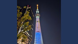 Download Lagu fall with me MP3