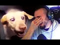 HARDCORE MEMES DONT LAUGH CHALLENGE | ZellenDust