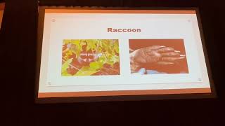 Paw-sible Knowledge Differentiating Common Vertebrate Vector Tracks Bridget Mooney et al ACVCSD