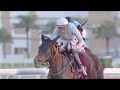 RM 31  Al Rayyan Race 2 -   Umm Al Zubar Cup