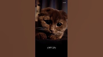 قَالَ لَا تَخَافَآۖ إِنَّنِي مَعَكُمَآ أَسۡمَعُ وَأَرَىٰ/#قرآن/#سورة_طه/#محمد_ديبيروف/#أطمئن