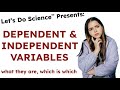 Understanding Variables in Experiments