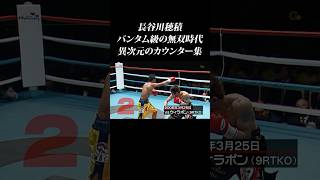 No. 1 of all time] A collection of counters from Hozumi Hasegawa's