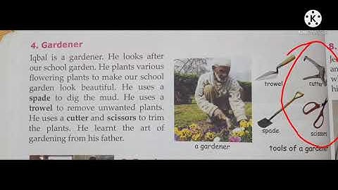 People at work/chapter-11/part-2/EVS/class-4/by Tanu mam