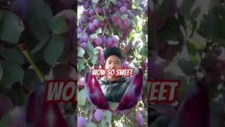 wow so sweet fruits ASMRbuhayabroad vlog satisfying nheljhotv