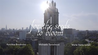 for the seeds to bloom  | Jewellery & Art Exhibition at St. Anne's Church in Limehouse, London