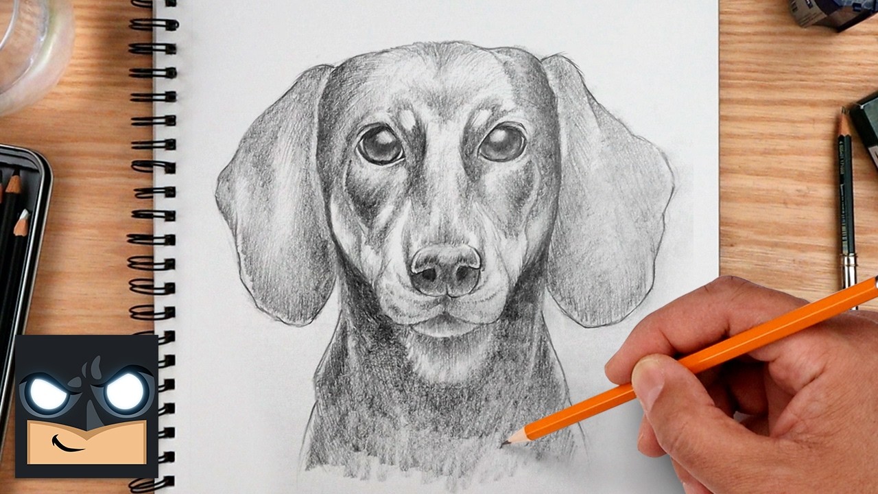 How to Draw Dog | Dachshund Drawing Tutorial