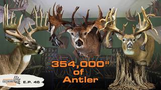 The World s Most Impressive Antler Collection