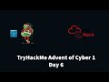 Detecting DNS Data Exfiltration with Wireshark | TryHackMe Cyber Challenge Day 6
