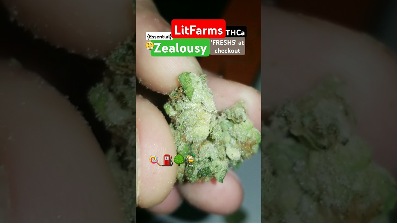 InSAne TeRPs!! 🤯 LitFarms : Zealousy THCa {Essential} Potent Amazing Cross 